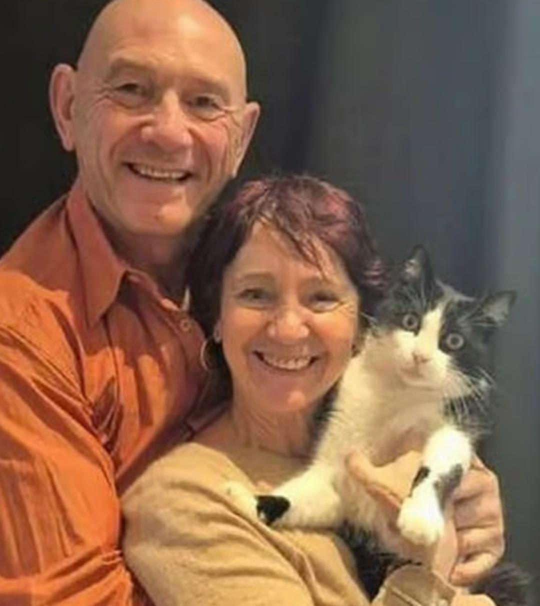 Кот Филу — новая звезда соцсетей: пушистый прошёл 250 км на своих четырёх, чтобы вернуться домой.