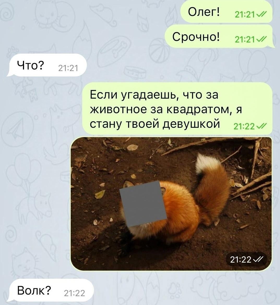 Он делал попытки&#128547;