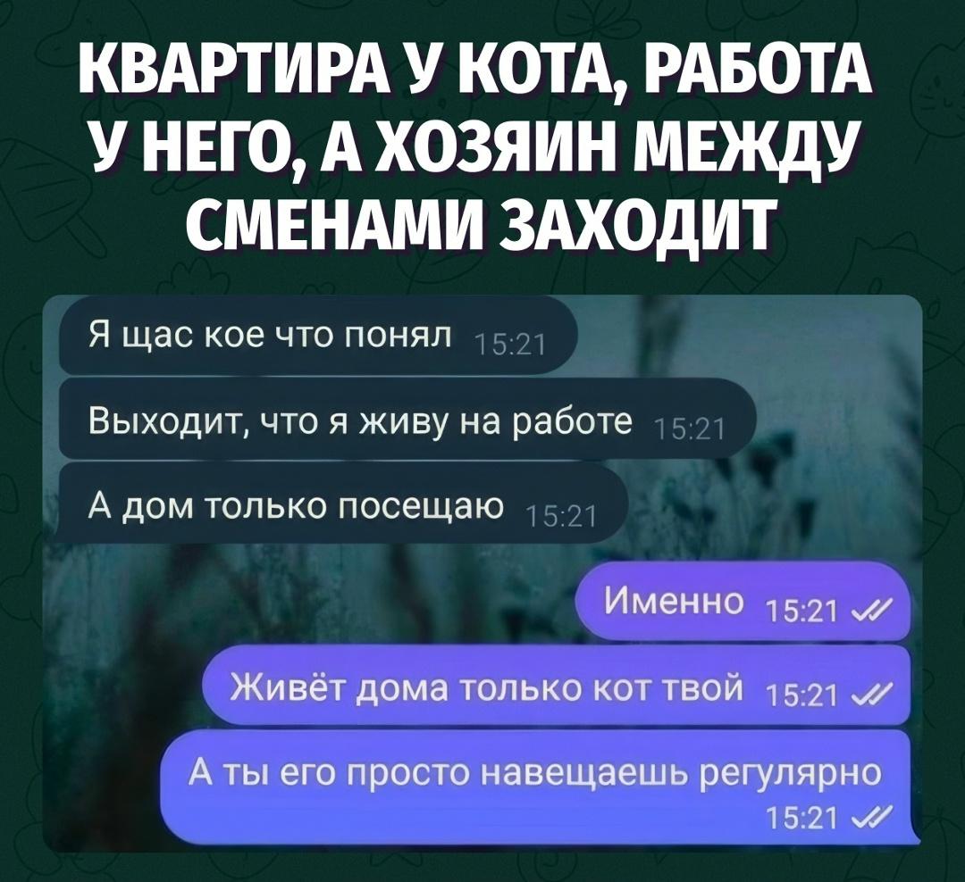 Он живёт на работе, дома — кот