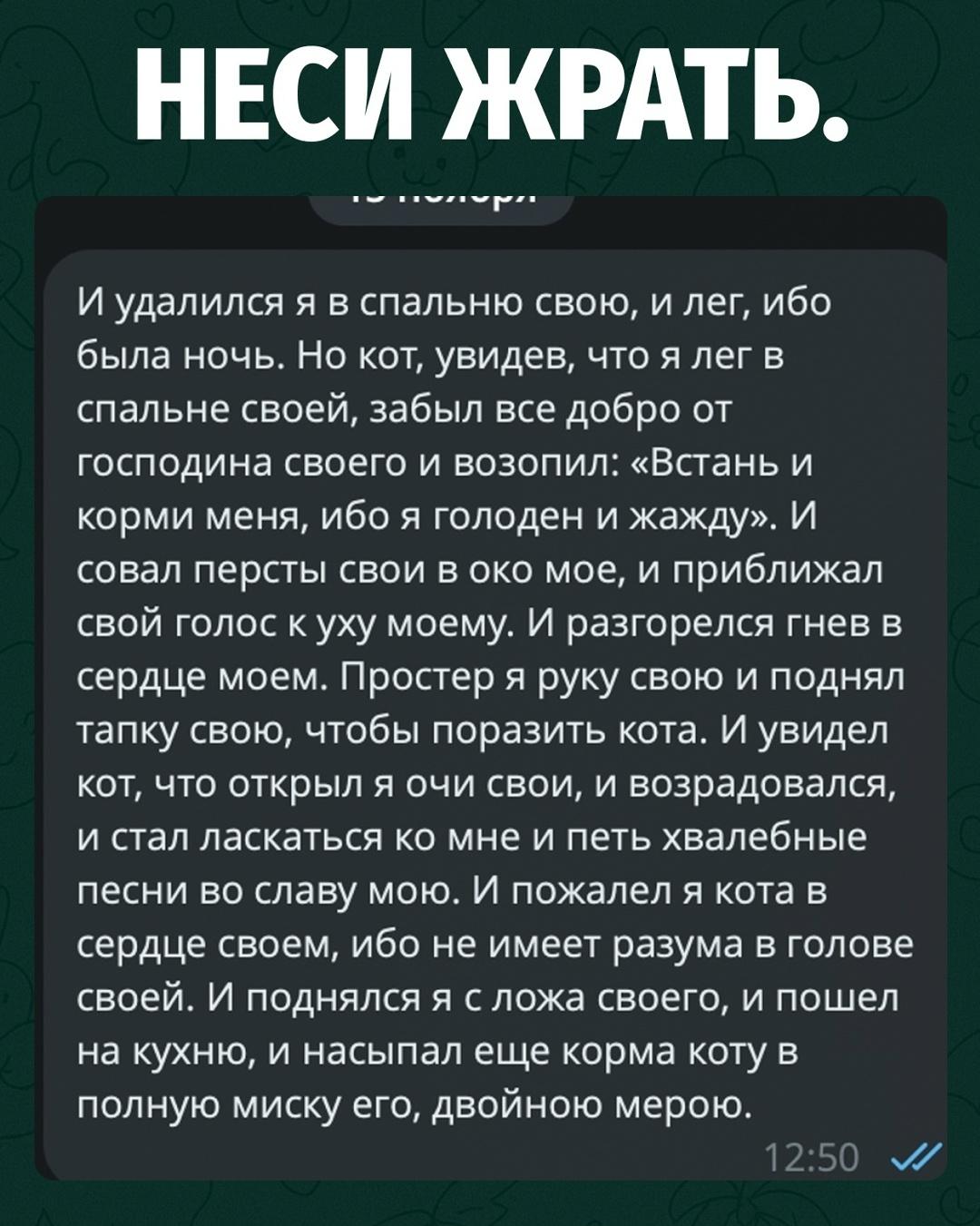 Мужчина уже лёг спать, когда питомец потребовал немедленно наполнить миску.