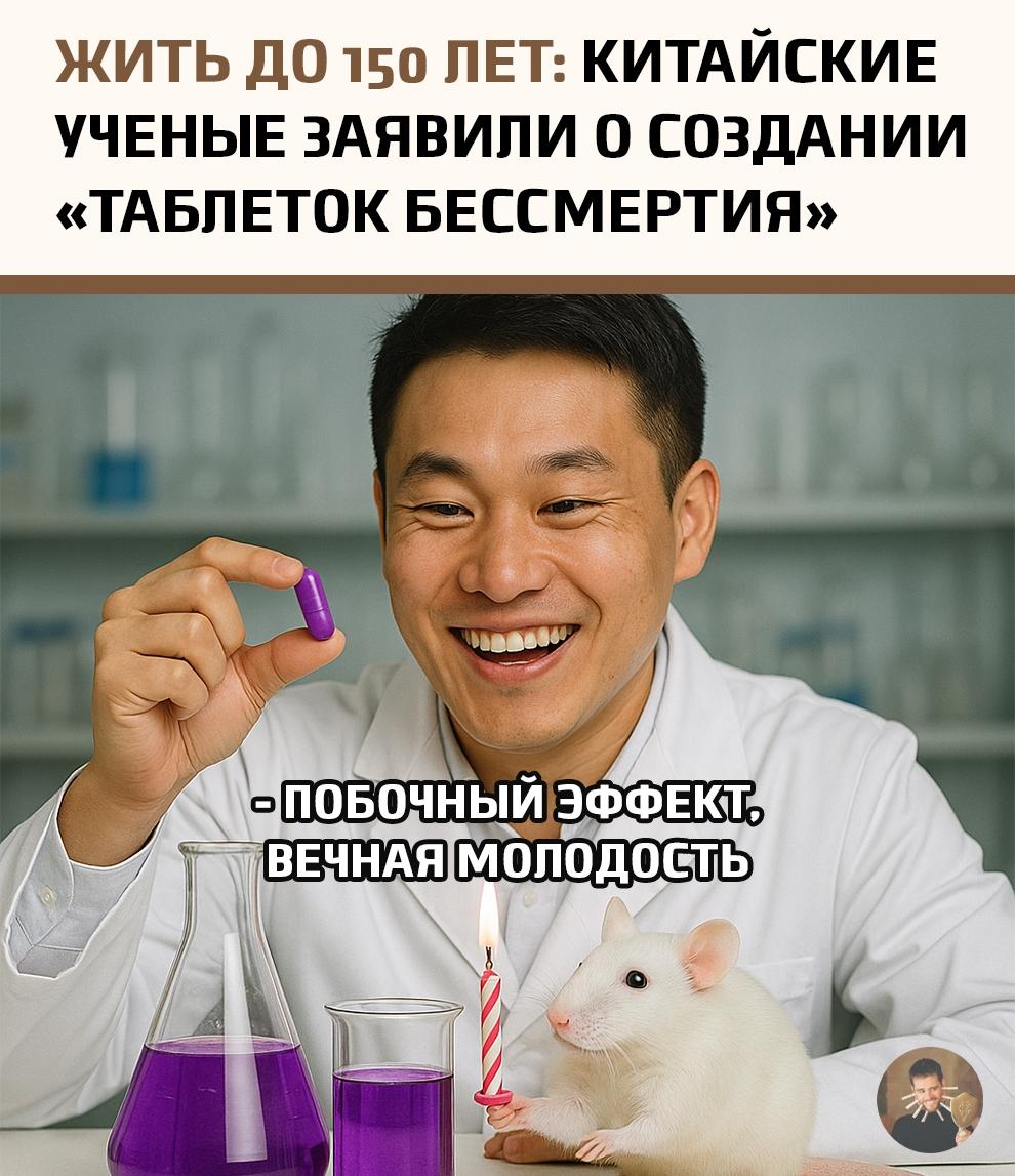 Китайские ученые сообщили о прорыве в области долголетия: они разработали экспериментальный препарат на основе экстракта виноградных косточек, который называют «таблеткой долголетия».
