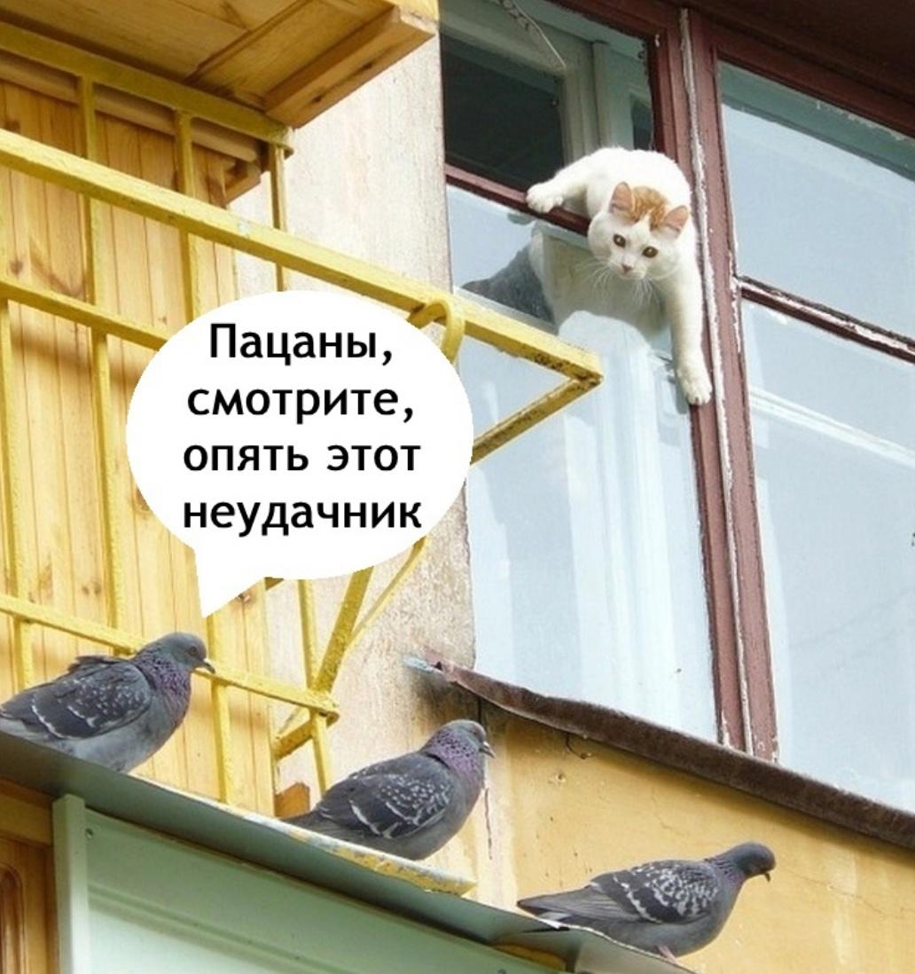 Разборка питерская
