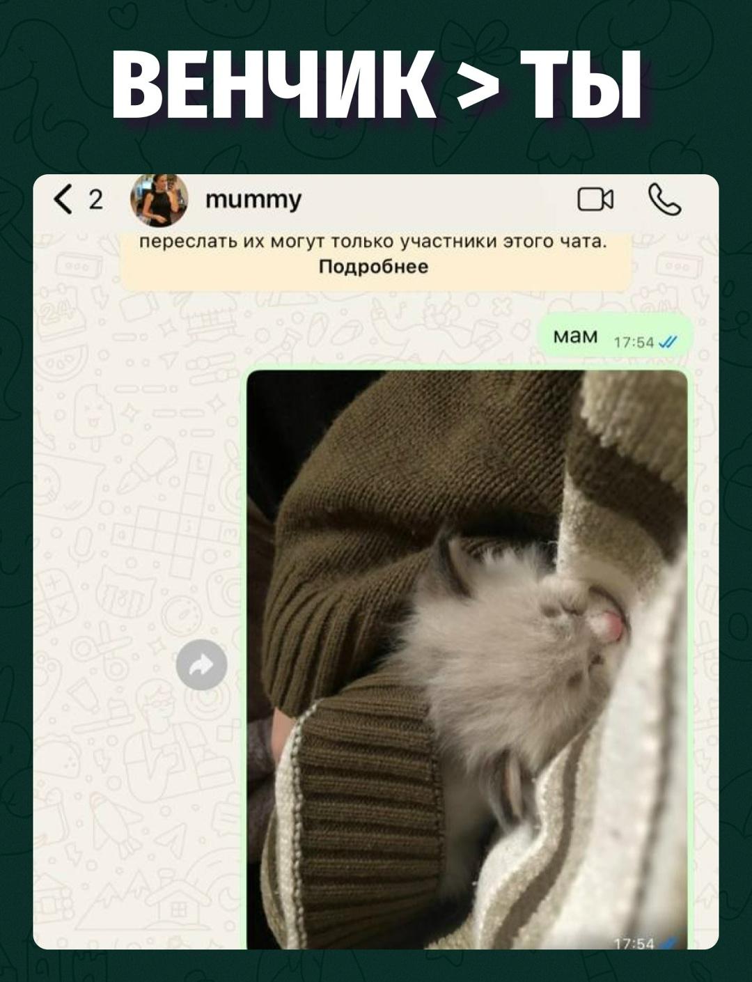 Сначала «мне не надо», потом кухня уже под цвет глаз Венчика