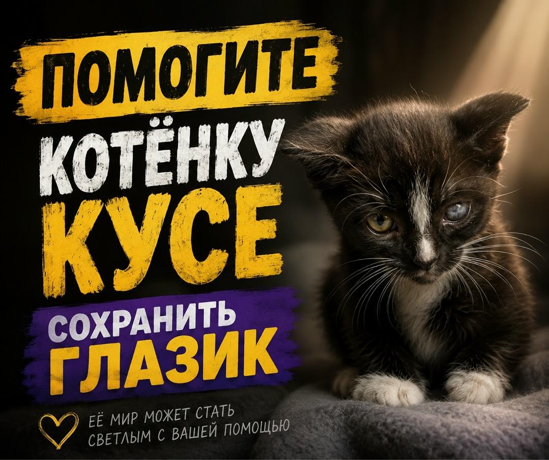 Когда эту малышку нашли, казалось, что у неё просто нет глаза