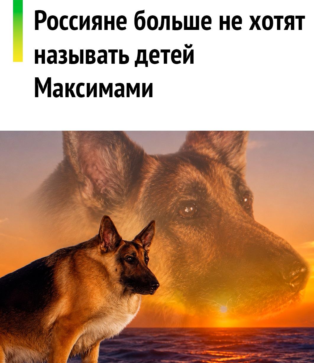 💁‍♂ Имя Максим вылетело из топ-5 самых популярных мужских имён.