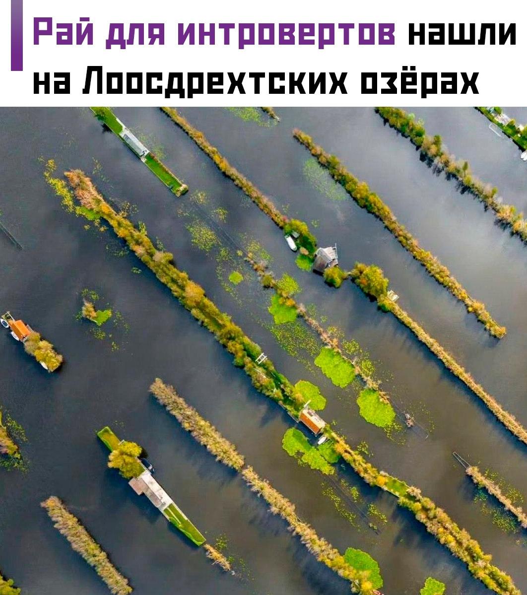 😃 На Лоосдрехтских озёрах в Нидерландах находится необычное место, где вместо дорог — вода, а вместо автомобилей жители используют лодки. Именно поэтому многие называют его настоящим раем для любителей тишины и спокойствия.