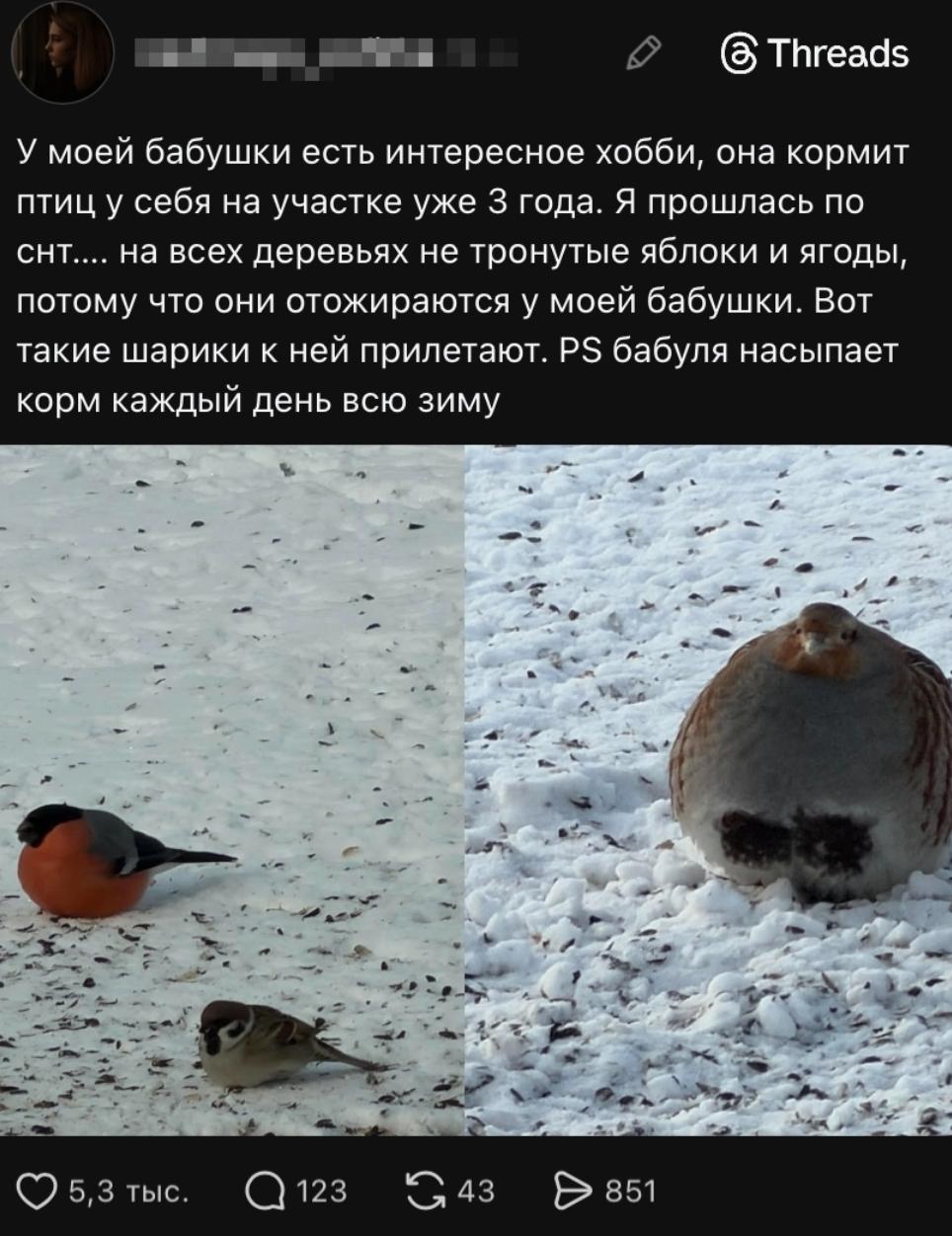 Голодным ни кто не останется