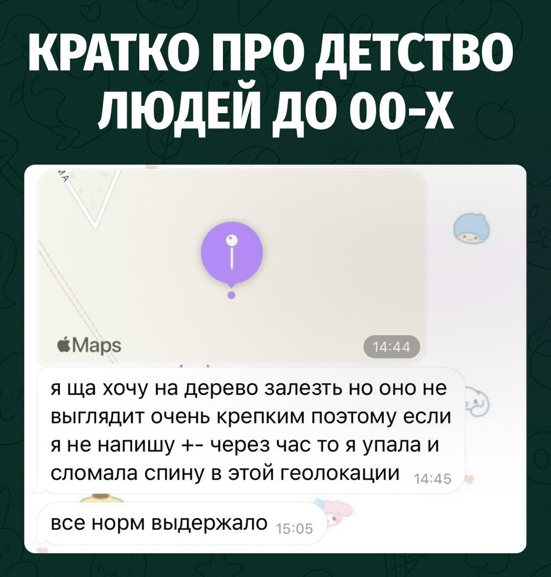 Ребёнок скидывает геолокацию и пишет: если через час не выйду на связь, значит залезла на дерево, упала и сломала спину.
