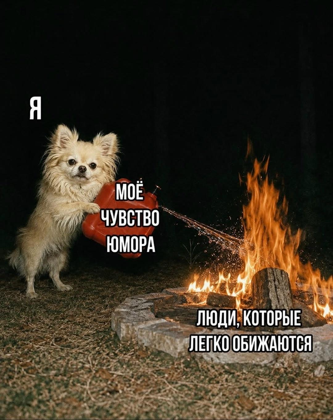 База