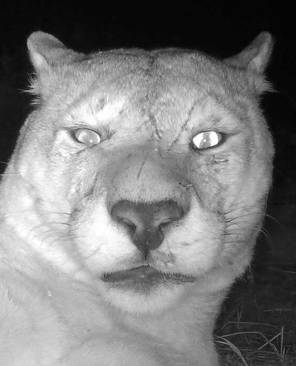 Так я выгляжу, когда только просыпаюсь