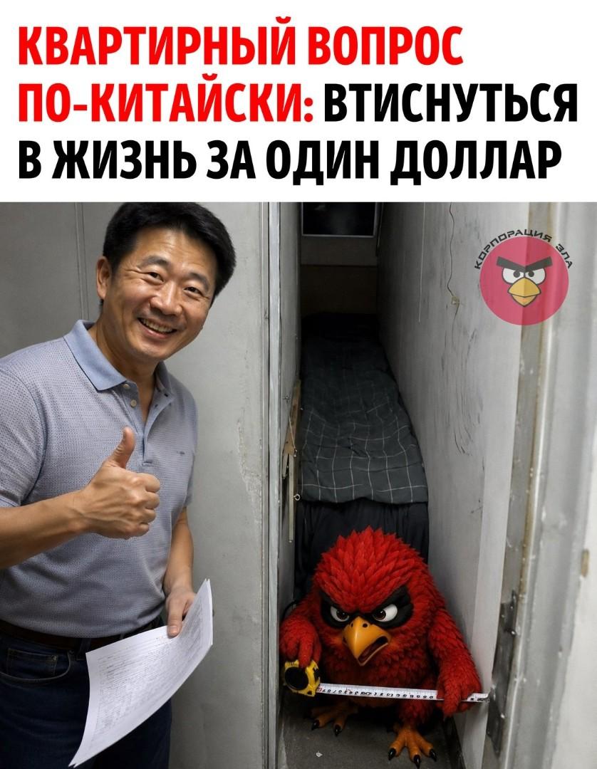 Главное — не ворочаться: в Китае сдают жилье, в котором ты чувствуешь себя как в ящике с инструментами