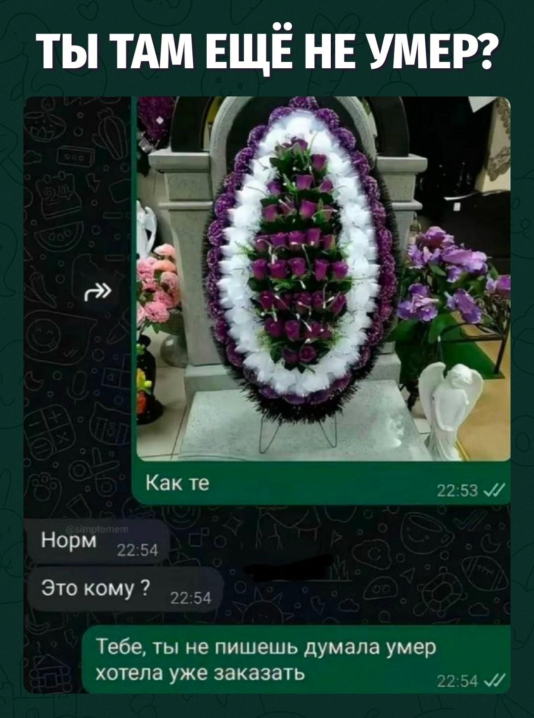 Не пишешь — значит, пора встречать тебя у крематория