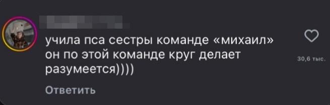 Основы дрессировки