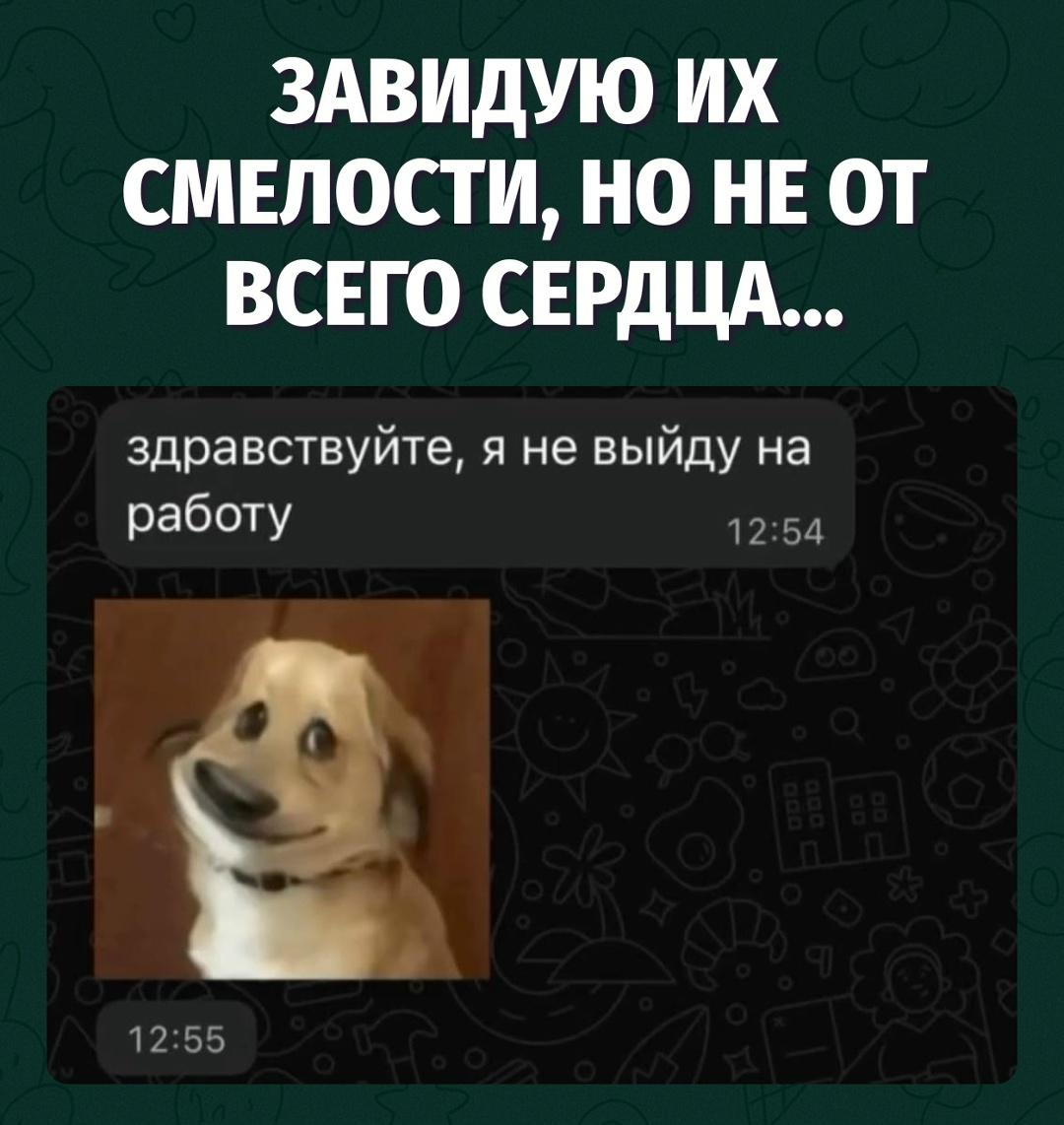 Предприниматель наглядно показал, почему зумеров не стоит нанимать на работу