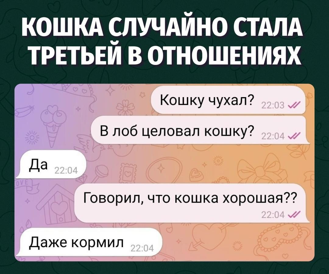 Когда проверка отношений проходит через кошку