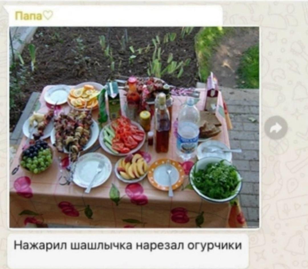 где все елкипалки
