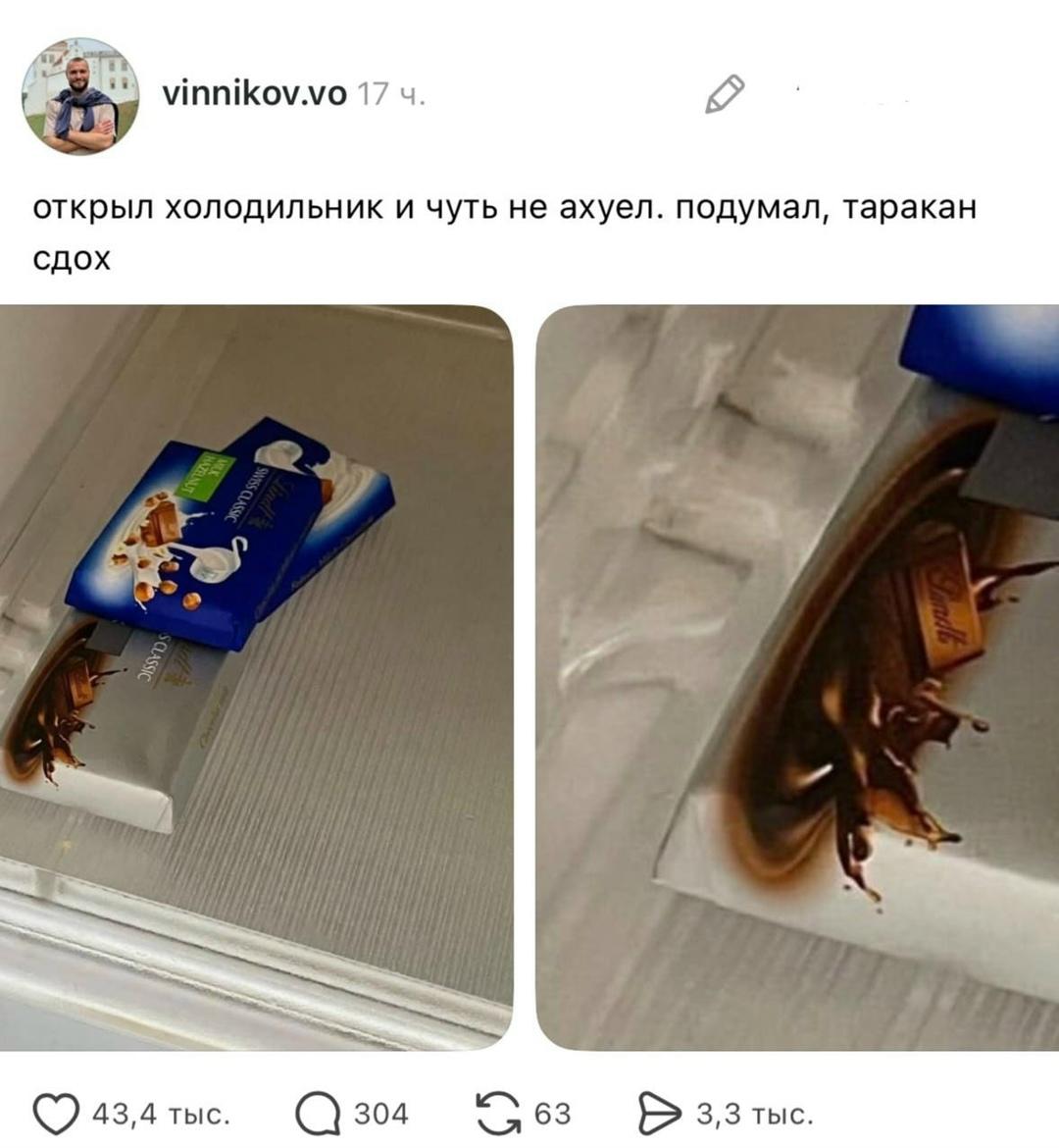 В таком холодильнике он вряд ли бы выжил)