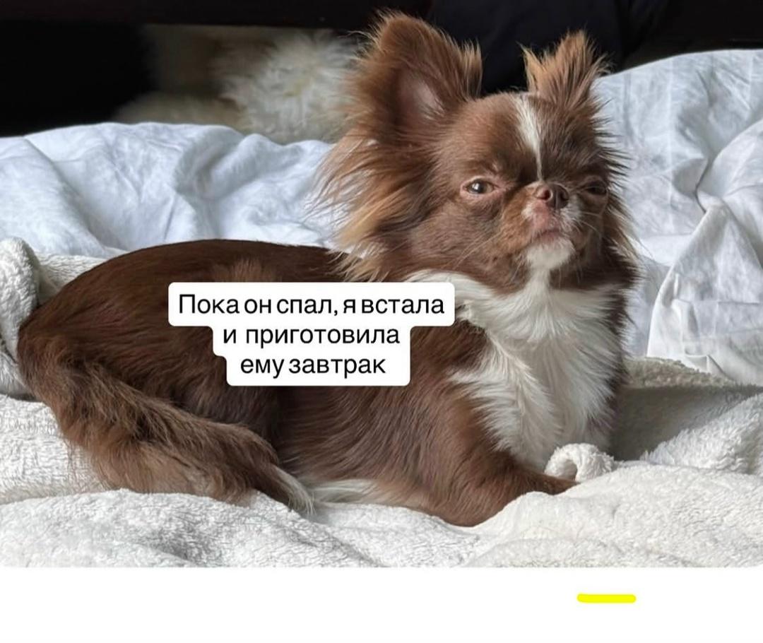 Да что бы он без нее делал