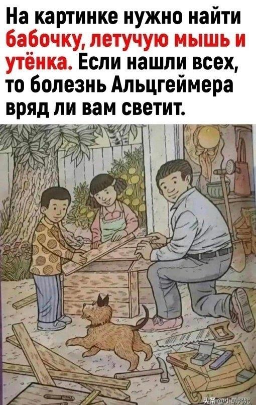 Напрягите мозги