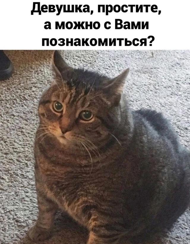 НЕТ нельзя