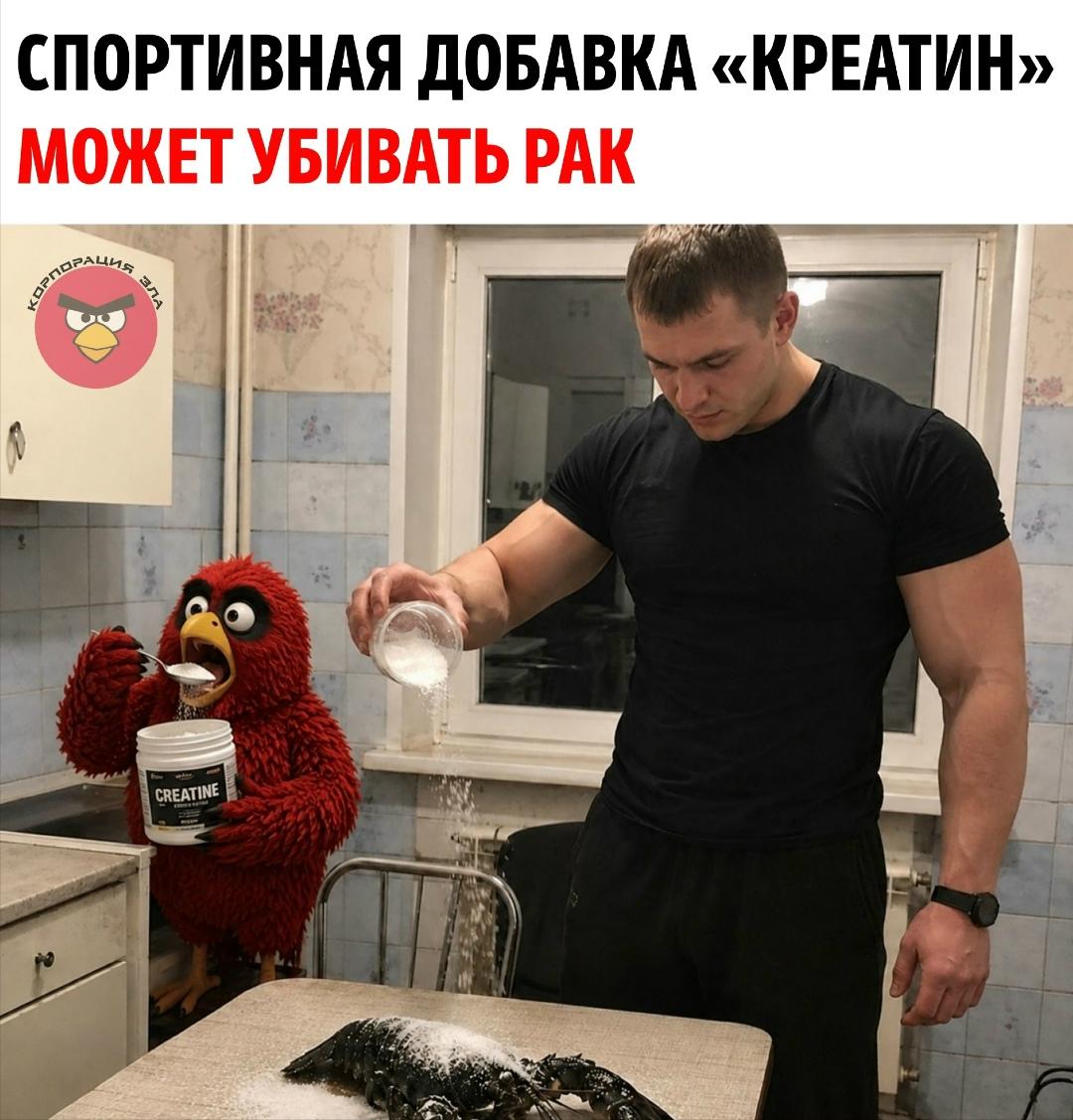 Креатин неожиданно привлёк внимание учёных в контексте исследований рака