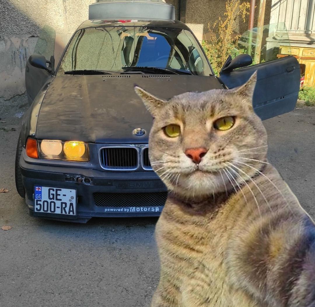 Владельцев BMW признали самыми худшими водителями по итогам исследования LendingTree.