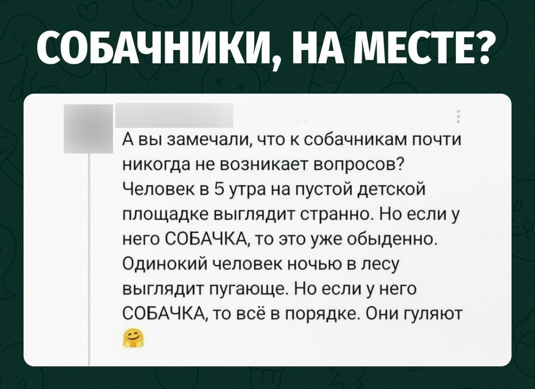 Одинокий человек на детской площадке в пять утра выглядит подозрительно. Но стоит поставить рядом собаку и всё становится логично: просто вышел на прогулку.