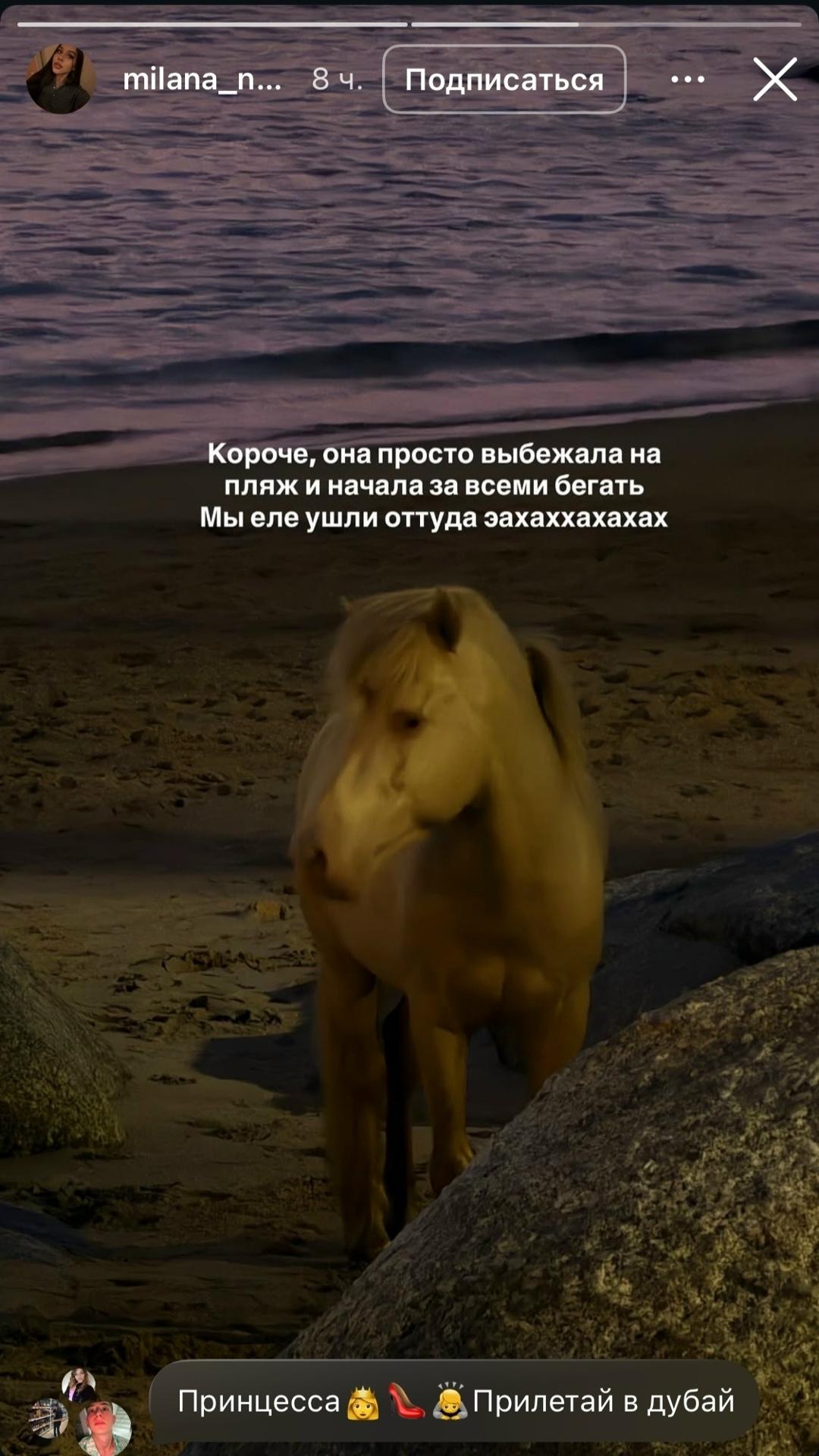 На пляже в Таиланде неожиданно возникла ситуация с лошадью, которая испугала Женьку Лизогуба и Милану Некрасову.