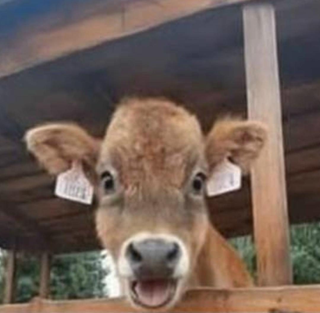 Его удивление можно понять