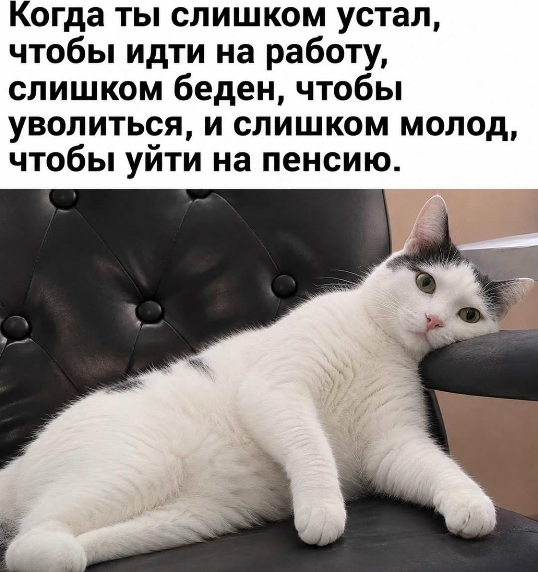 Да как это работает