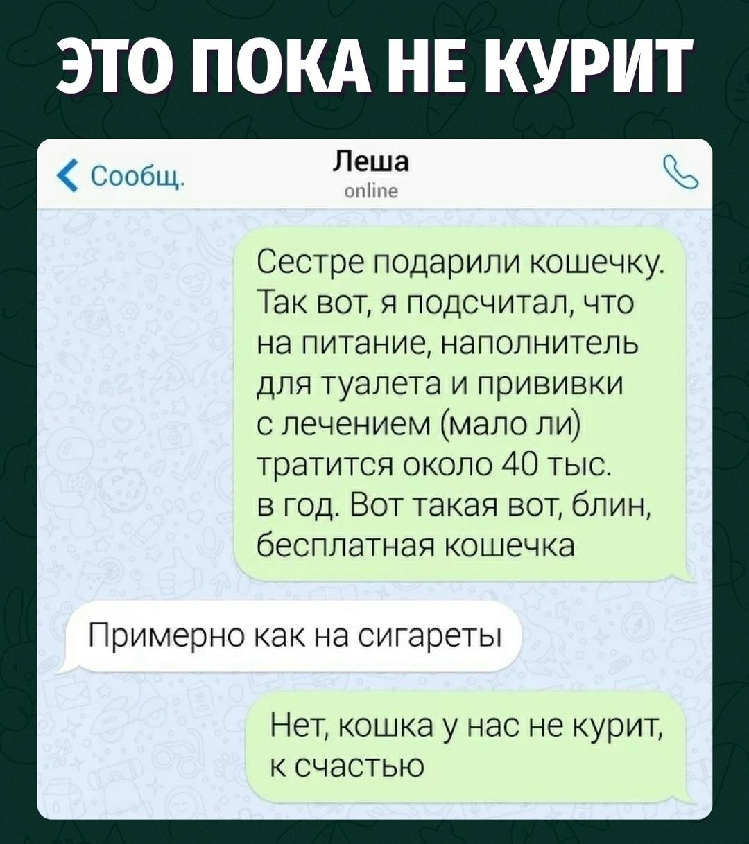 40 тысяч в год за мурчание — всё ещё выгоднее психотерапии