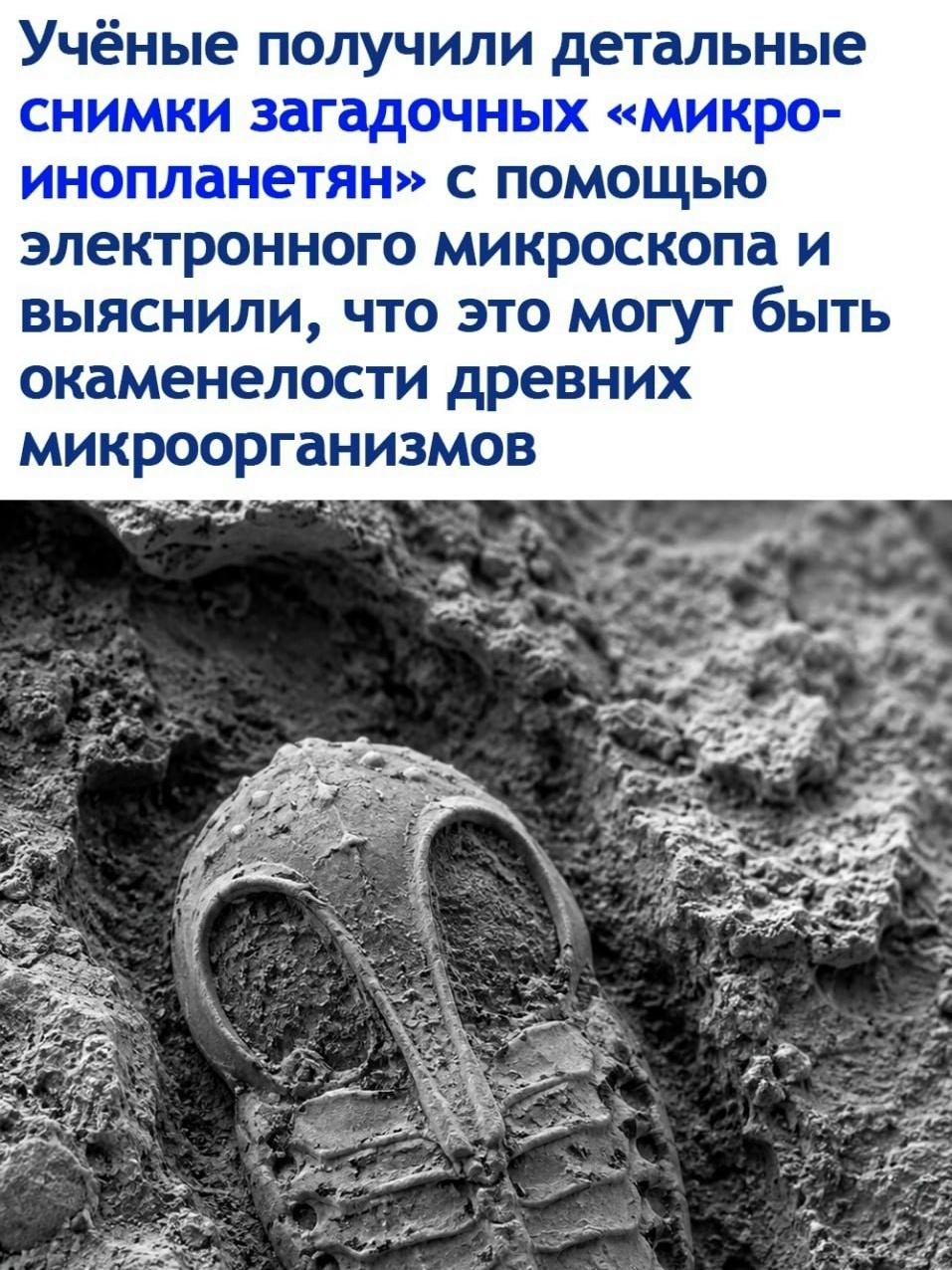Клеос был прав