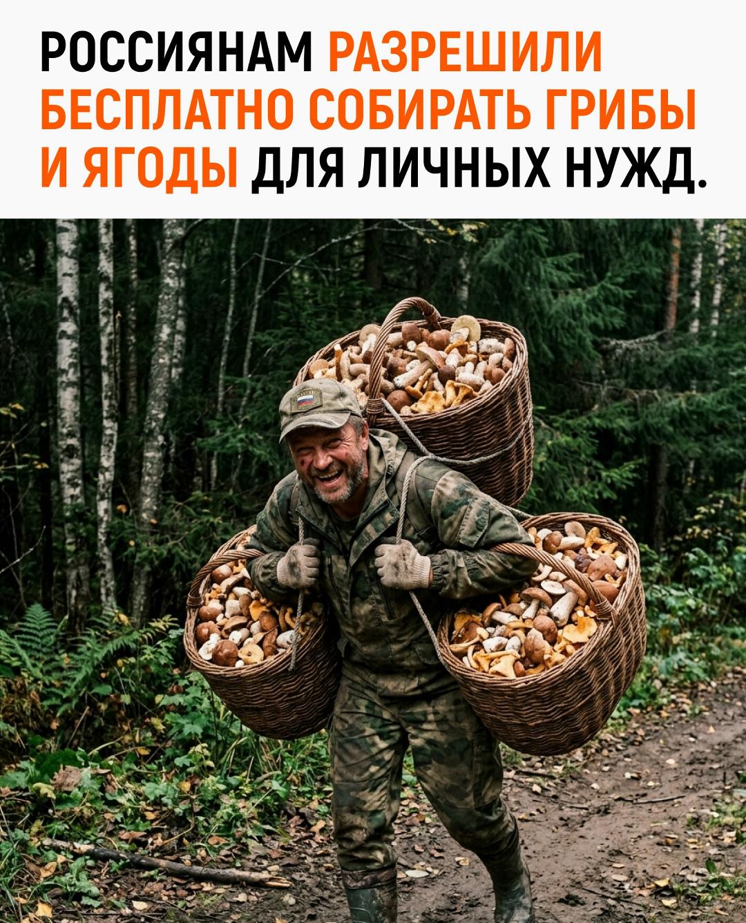 Любители лесных прогулок с ведрами могут вздохнуть с облегчением и смело отправляться на поиски добычи. Роскачество официально напомнило, что заготовка грибов, ягод и других дикоросов для семейного стола не требует никаких спецразрешений и лицензий.