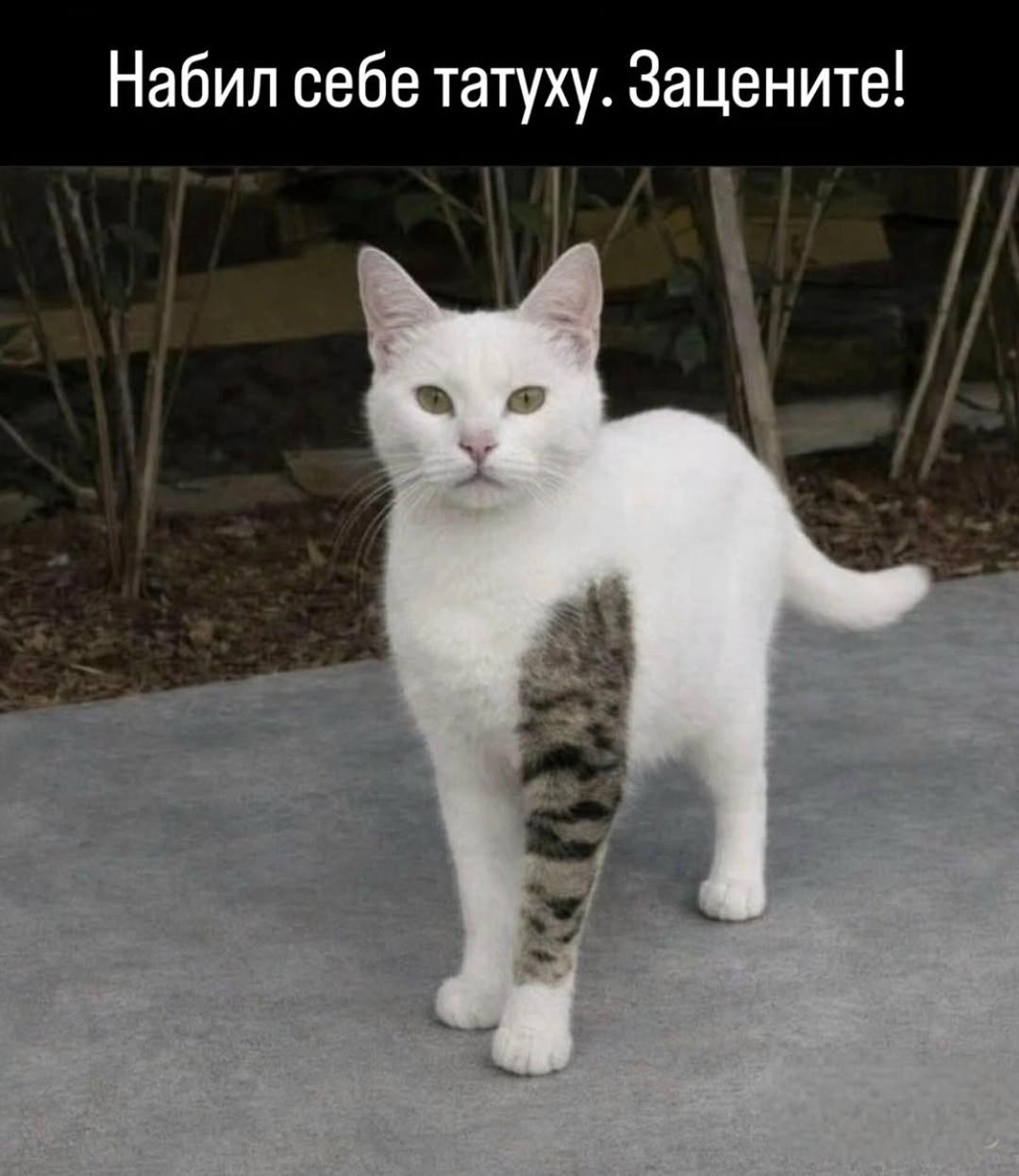 рукав забил