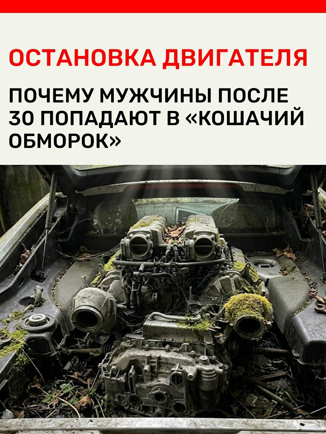 ⚠️ Посмотрите на фото заросшего двигателя. Если у вас начал расти живот, упало либидо, а агрессивный драйв сменился желанием «поспать» — внутри вас происходит именно это. Ваш мотор не просто заглох. Он биологически перестраивается.