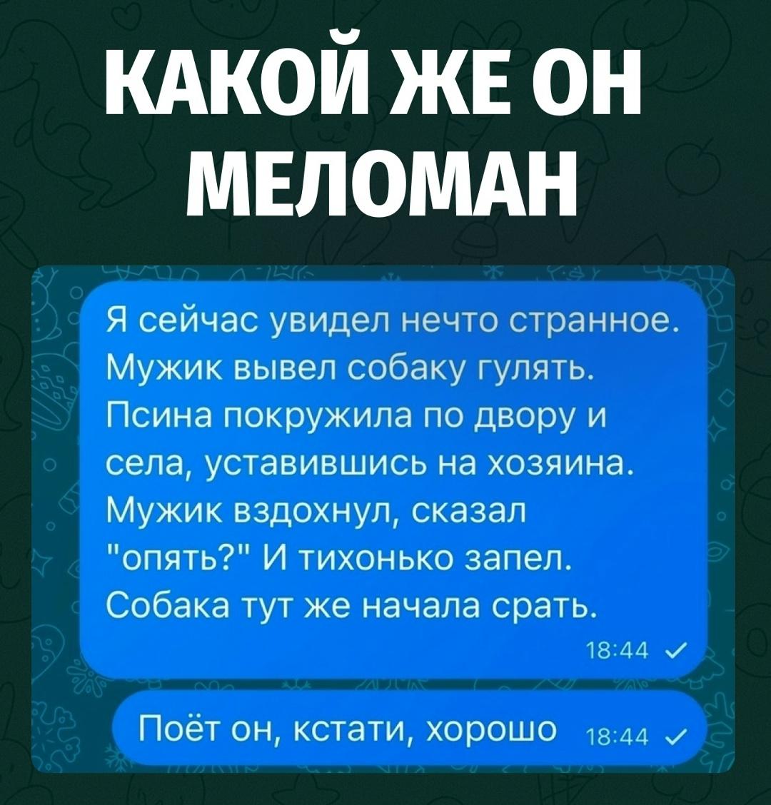 Мужик вывел собаку на прогулку, а та вместо дел сначала села и пристально уставилась на хозяина.