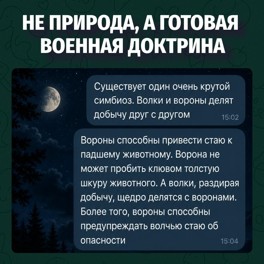 Природа давно всё придумала: у волков уже есть разведка с крыльями