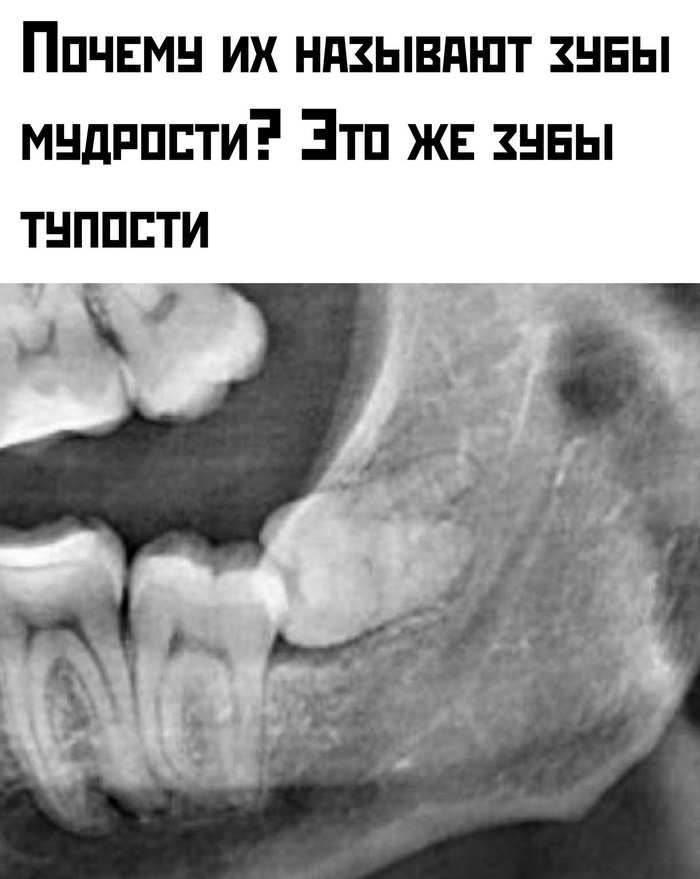 Прикольные картинки с надписями и нейронные связи