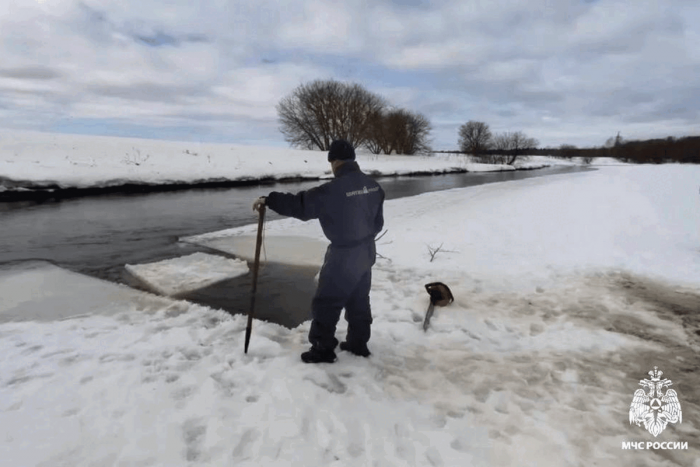 В СК подтвердили, что пропавшие в Звенигороде дети провалились под лед