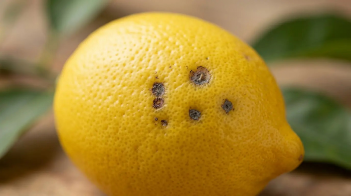 признаки которые видно за секунду