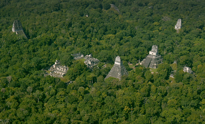 В джунглях Мексики нашли затерянный город, в котором построены сотни огромных колонн
