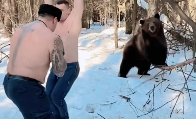Странная тренировка казаков поставила в тупик западных спортсменов: в ней участвует медведь