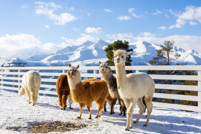 «Это тебе не хау ду ю ду»: американец ехал в Россию терпеть и страдать, а попал в туристический рай, которого нет ни в каких Европах.