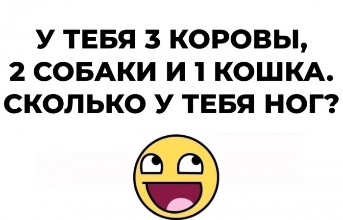 Только внимательные разгадают все 15 загадок