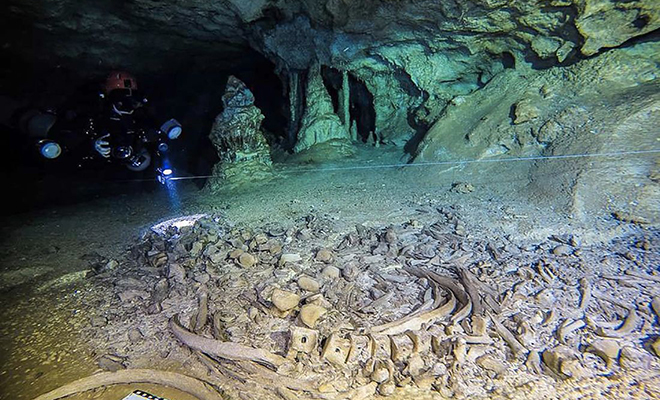Под пирамидой Майя нашли тайный проход: лидар показал пустоту, уходящую глубоко вниз