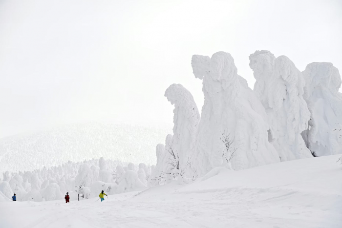 Снежные монстры горы Зао