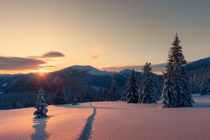 Открытки с днем весеннего равноденствия: 60+ картинок и поздравлений