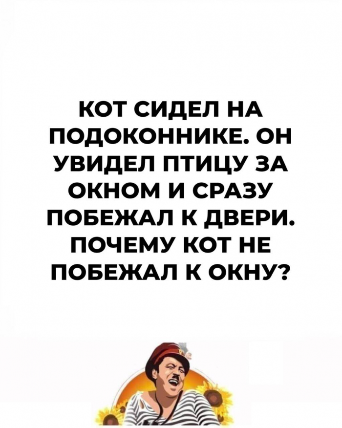 Не дай мозгу обмануть тебя: 15 загадок на логику