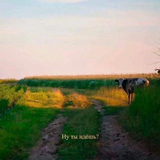 Интернет мемы в понедельник и ретроградный Меркурий