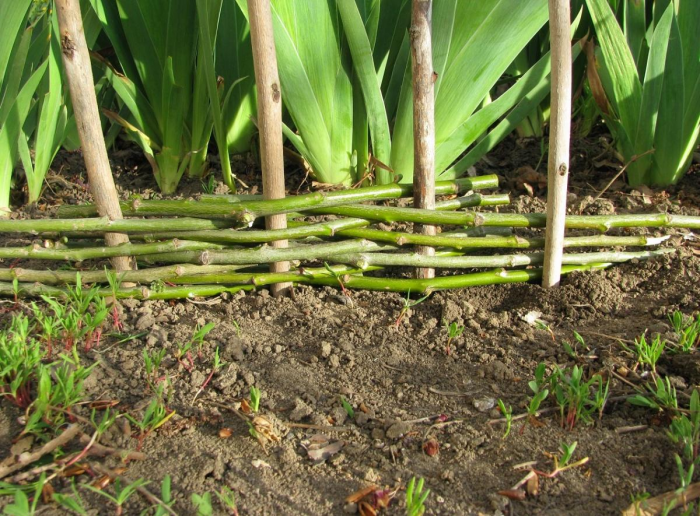 Идеи для сада: простые и оригинальные варианты (65 фото)